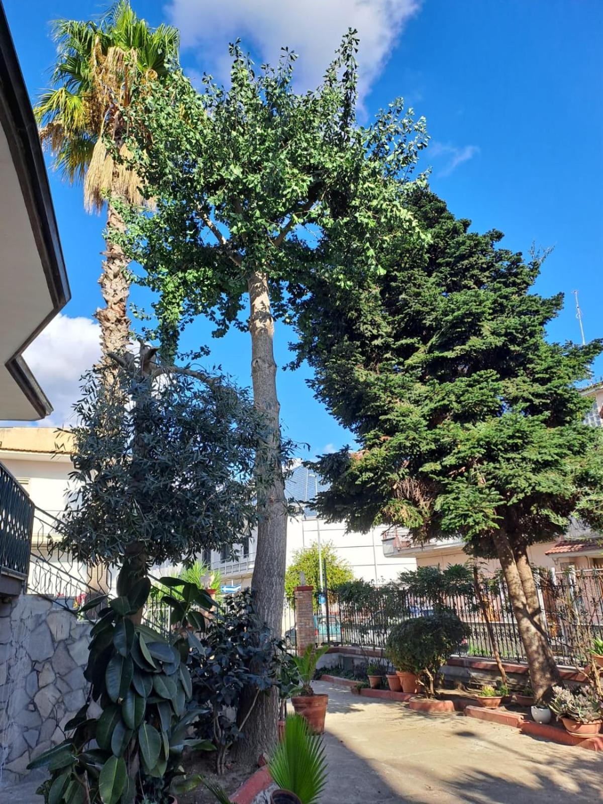 Апартаменты A Casa Di Luigi 2 Mugnano di Napoli Экстерьер фото